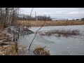 Winter Beaver Trapping Episode 4 "Locating and setting runways"