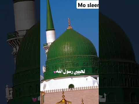 عشمان في زياره لروحي