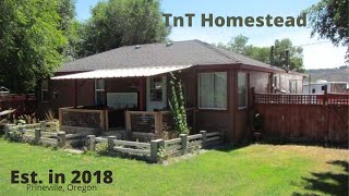 First tour of the TnT Homestead!