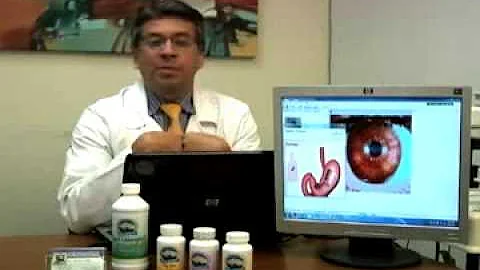 DOCTOR NELSON ORTIZ - VITAMERICA (813)770-1888