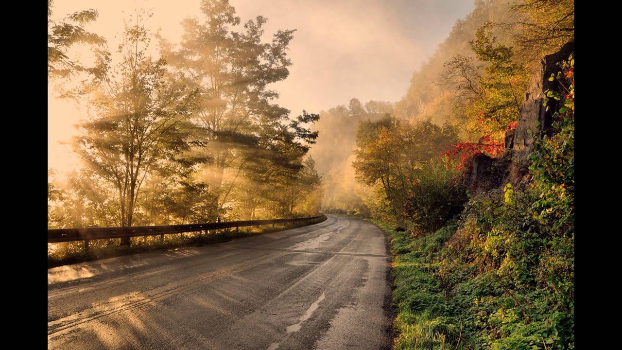 soley - smashed birds(allucan remix)