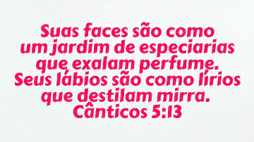 O que a Bíblia fala sobre as flores?