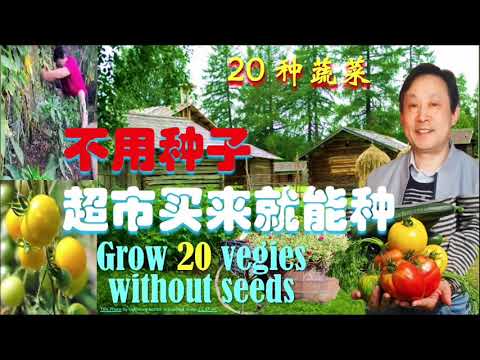 Video: Groeiende Salade-uien Uit Zaden - Via Zaailingen