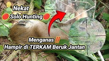 G4n45‼️ Nekat Solo Hunting [] 🔴 Hunting Pest Control 🔴