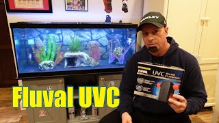 Fluval UVC Clarifier Unboxing and Install Steps!!! #fluval #aquarium #aquariumfiltration