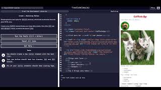 freeCodeCamp Front End Development Libraries Bootstrap