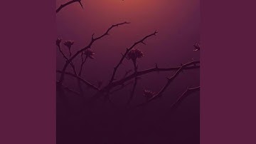 Dark Empath