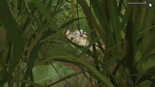 Arma 3 clean knife from the grass
