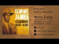 Elmore James Shake Your Moneymaker mp3
