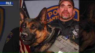 Celebrity Man who killed K-9 Jethro sentenced to time in prison Profile
