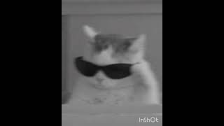 Alizade.ft.Bege-27/7(speed up)