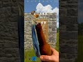 How to Raid Wooden Doors Cheap!  #rust #rustgame #rustgameplay #rustshorts #rustclips #rustpc