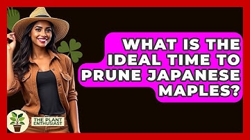 What Is The Ideal Time To Prune Japanese Maples? - The Plant Enthusiast