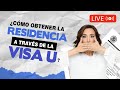 ¿COMO SE PUEDE OBTENER LA RESIDENCIA CON LA VISA U? ¿Que es la visa U? - Inmigrando con Kathia