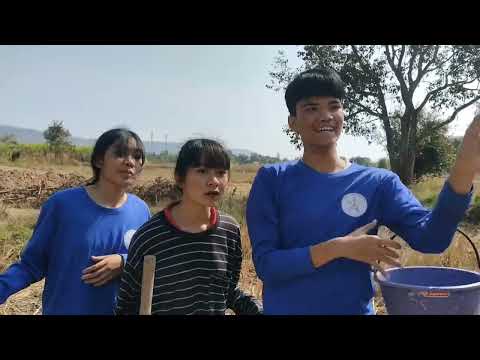 ตาฮักน้อ:เนส พรอำนาจ (COVER MV)