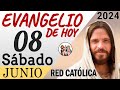 Evangelio de Hoy Sábado 08 de Junio de 2024 | REFLEXIÓN | Red Catolica