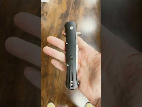 Protech Large Don.