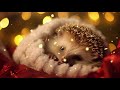 Harmony of Dreams: Sweet Slumber with Mozart for Baby Hedgehogs 🦔🎶