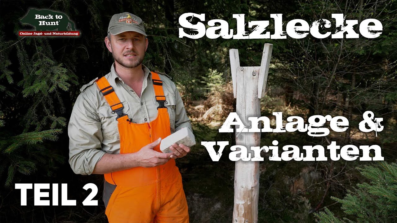 Salzlecke Anlage & Varianten | Teil 2 | Wildhege | Back to Hunt