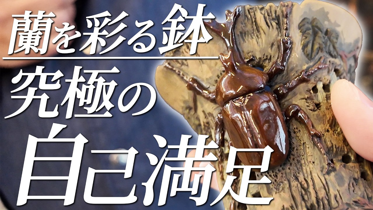 趣味の洋ラン　 ニューオーキッド　No160 ~169 10冊　早い者勝ち 2026年最新】Yahoo!オークション -洋蘭(雑誌)の中古品・新品・古本一覧