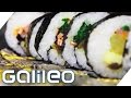 Nori & Sushi - Algen- und Schneckenzucht in Korea | Galileo | ProSieben