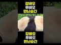[PandaTV] 강바오 푸바오 만난 순간 #푸바오#러바오#아이바오 출처 : 전지적할부지시점