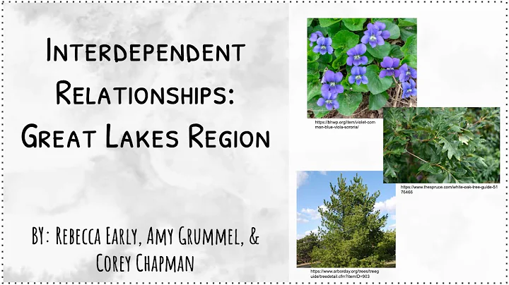 Interdependent Relationships: Great Lakes Region