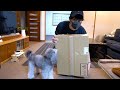 愛犬が滑らないマットを敷き詰めながら、自粛期間のあれこれを話します。