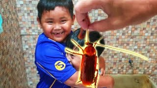 ANAK-ANAK LUCU TAKUT KECOA
