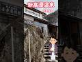 【山形県の温泉】新高湯温泉 吾妻旅館 #源泉かけ流し #温泉 #shorts