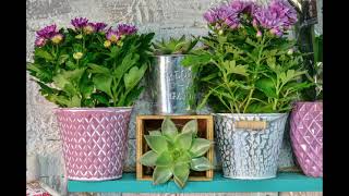 Modern Farmhouse Decor Lovers Open Invite: August 24 Open Challenge
