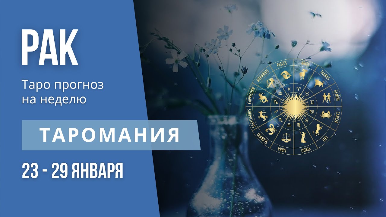 Гороскоп На Февраля 2023 Стрелец