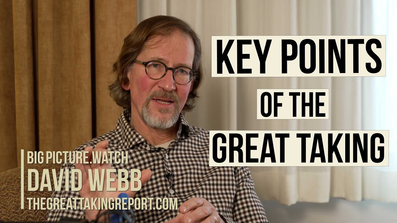 David Webb | Key Points of The Great Taking | BIGPICTURE.WATCH - YouTube