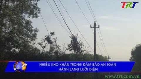 Nhiều khó khăn trong đảm bảo an toàn hành lang lưới điện