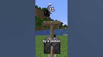 Guess the Minecraft block in 60 seconds 52