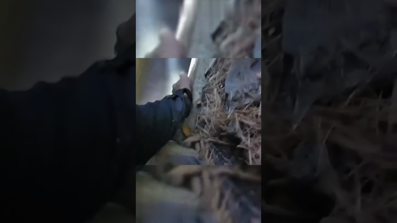 Ohio Woman Rescued from Basement in House Fire