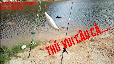 Trải nghiệm cấm trại, câu cá đêm tại đập thủy điện EA KRÔNG ROU Ninh Tây - Ninh Hòa