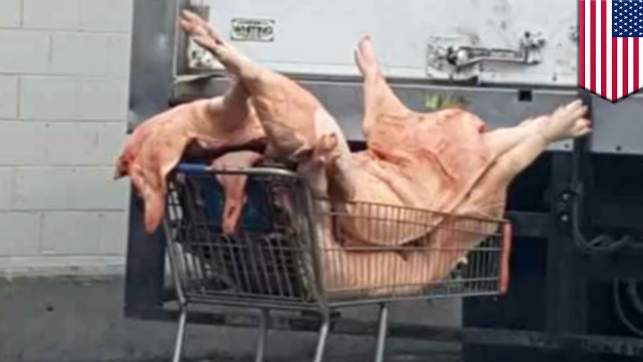 Photos of raw pork delivered in shopping carts sparks meat scandal health investigation - TomoNews