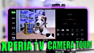 Sony XPERIA 1 V Camera Tour: Three Apps Are Better Than One? screenshot 2