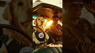 😀driving for dog 🐕#shorts #funny #animals #viralshorts #lifeisbutadream #humanoid