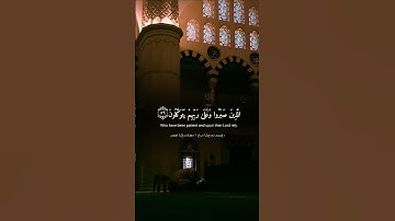 ﴿الَّذِينَ صَبَرُوا وَعَلَىٰ رَبِّهِمْ يَتَوَكَّلُونَ﴾[ العنكبوت: 59] بصوت القارئ #اسلام_صبحي
