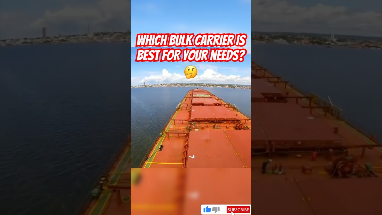 Bulk Carrier Types Explained in 1 Minute! 📚 DWT Breakdown 
