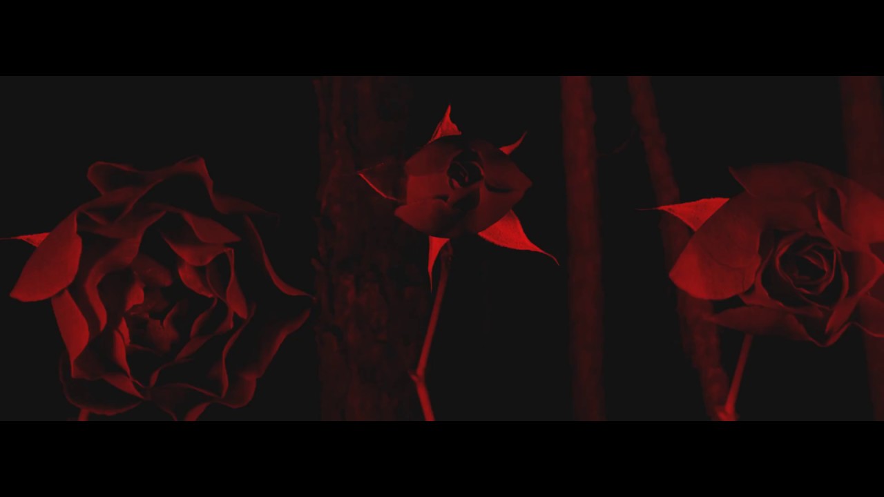 Watch Young Ghosts- "Faded" on YouTube Watch Young Ghosts- "Faded" on YouTube