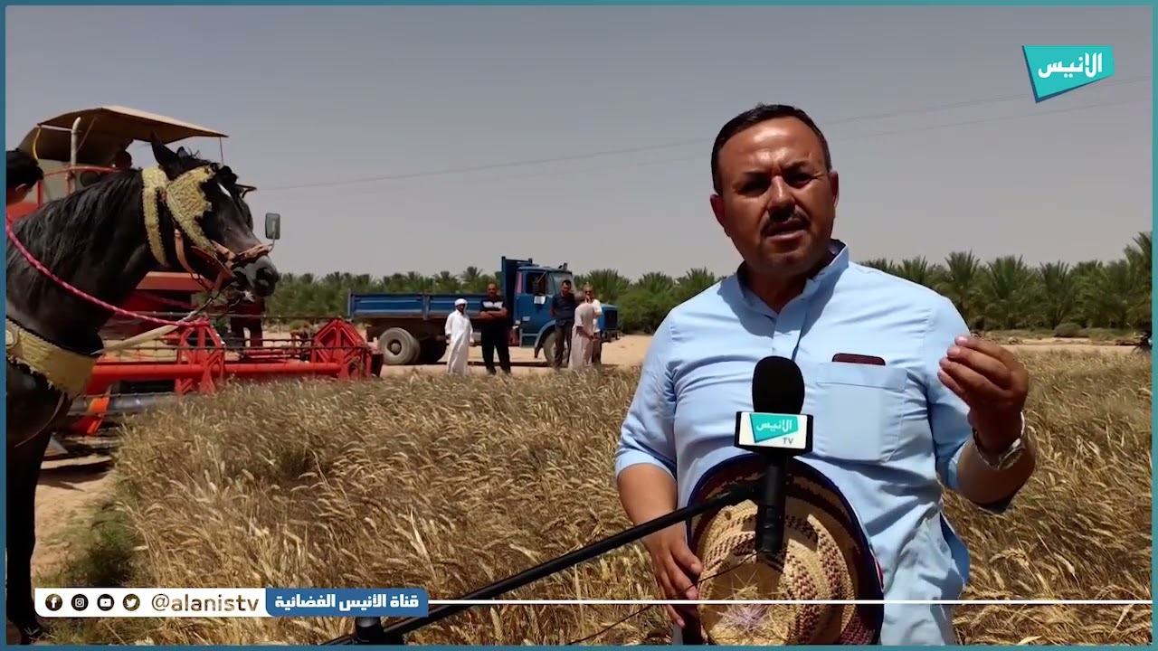 أولاد جلال: فلاحو بلدية الدوسن يباشرون موسم الحصاد والدرس