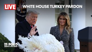 Raw Feed White House Thanksgiving Turkey Pardon