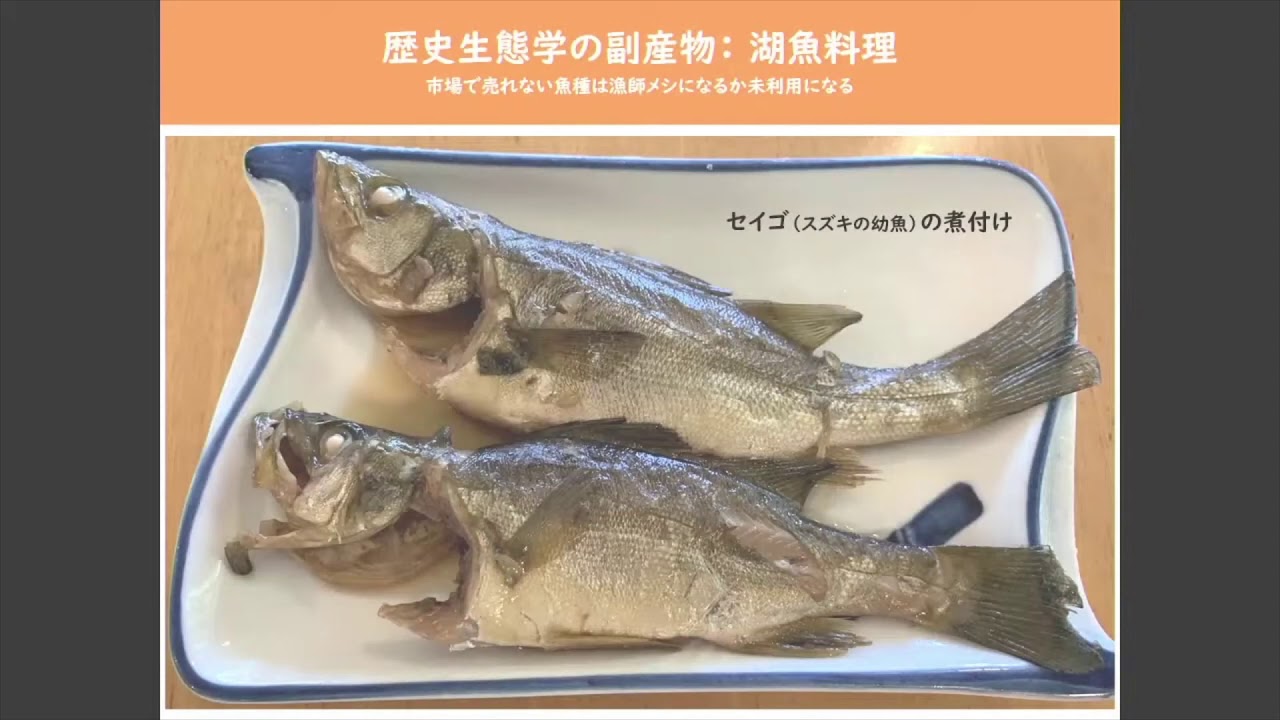 6 里山里海湖フォーラム21 研究発表 宮本 康 歴史を踏まえて三方五湖の自然を守ったら 旨い湖魚料理がいただけた Youtube 6 里山里海湖フォーラム21 研究発表 宮本 康 歴史を踏まえて三方五湖の自然を守ったら 旨い湖魚料理がいただけた Youtube