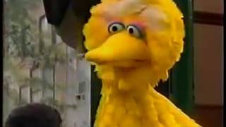 Sesame Street Gina Carlo Have New Jobs New Hd