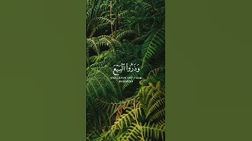 ياسر الدوسري #quran #قرآن #القرآن_الكريم #تلاوات #ياسر_الدوسري