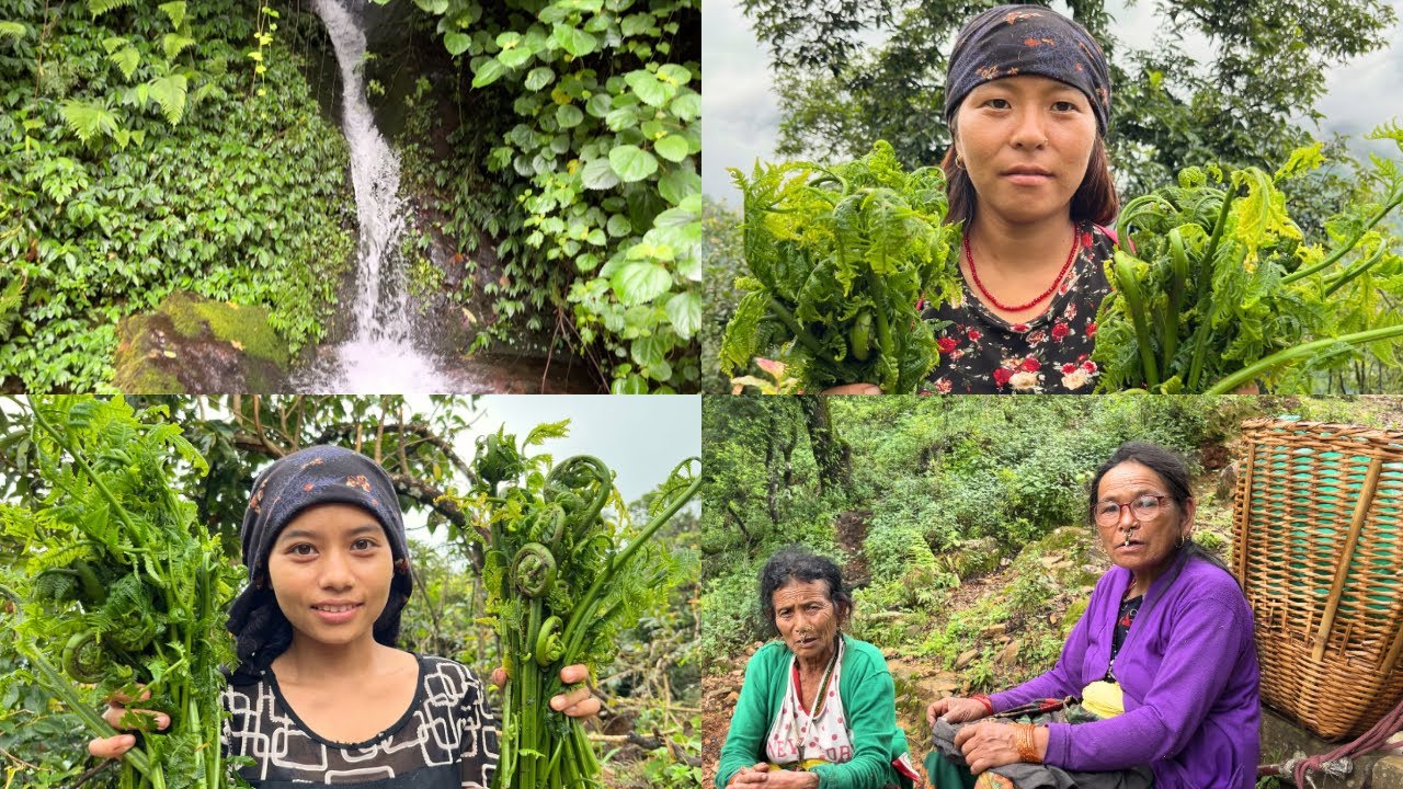 Gothbata farkine bela niguro tipna jada yasto vyo halat 