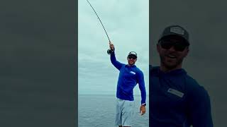 Introducing: Fly Line